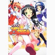 快盗天使ツインエンジェル 3（角川コミックス・エース 221-3） [コミック]