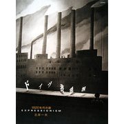 ドイツ表現派1920年代の旅 [単行本]