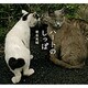 ハートのしっぽ―岩合光昭写真集 [単行本]