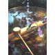 京都 四季のいろどり [単行本]