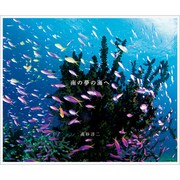 南の夢の海へ [単行本]