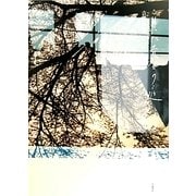 盲いた黄金の庭 [単行本]