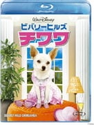 ビバリーヒルズ・チワワ