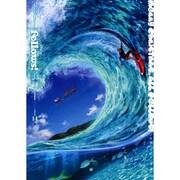 Ｆｅｌｌｏｗｓ！　２０１０－ＤＥＣＥＭＢＥＲ　ｖｏｌｕｍｅ　１４(ハルタコミックス) [コミック]