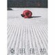 桑田佳祐／MUSICMAN