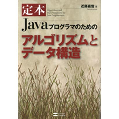 定本 Javaプログラマのためのアルゴリズムとデータ構造 [単行本]