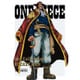 ONE PIECE Log Collection ROCKET MAN [DVD]