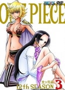 ONE PIECE ワンピース 12THシーズン 女ヶ島篇 PIECE.3
