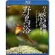 野鳥浴 ハイビジョン映像と鳴き声で愉しむバーチャル・バードウォッチング (シンフォレストBlu-ray) [Blu-ray Disc]
