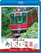 箱根登山鉄道 あじさい電車 箱根湯本~強羅 往復 (ビコム ブルーレイ展望)