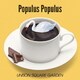 UNISON SQUARE GARDEN／Populus Populus