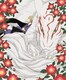 夏目友人帳 Blu-ray Disc BOX [Blu-ray Disc]