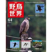 野鳥の世界 64号 5/24