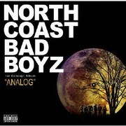 "ANALOG"