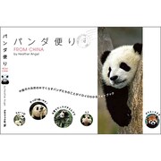 パンダ便りFROM CHINA [単行本]