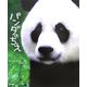 パンダのちえ [単行本]