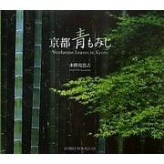 京都青もみじ [単行本]