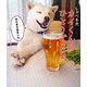 しゃべる犬カイくんのひとりごと〈2〉 [単行本]