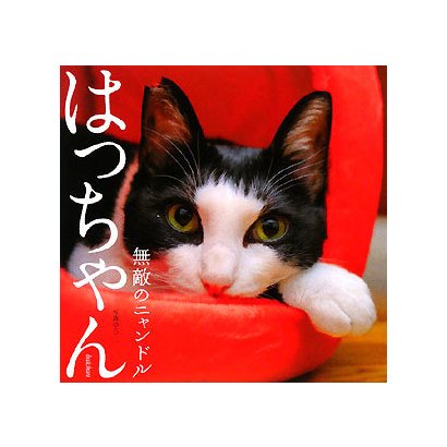 はっちゃん―無敵のニャンドル [単行本]
