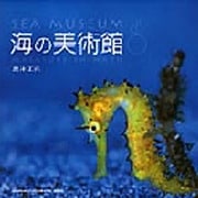 海の美術館 [単行本]