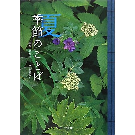 季節のことば 夏 [図鑑]