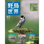 野鳥の世界 67号 6/14