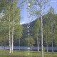 絹の会／箏カンタービレ ～癒しのクラシック～