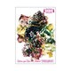 ヴィドール／RELIEVE YOUR 'BLUE SCAR' 2008.8.21 SHIBUYA-AX [DVD]