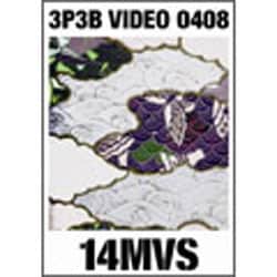 3P3B VIDEO 0408 [DVD]