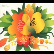 カーザ・ド・ソウ