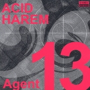 Agent 13