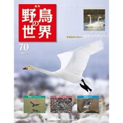 野鳥の世界 70号 7/5