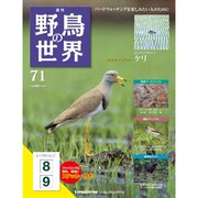 野鳥の世界 71号 7/12