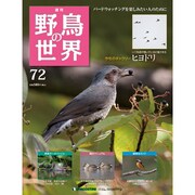 野鳥の世界 72号 7/19