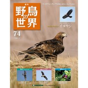 野鳥の世界 74号 8/2