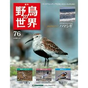 野鳥の世界 76号 8/16