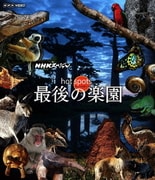 NHKスペシャル ホットスポット 最後の楽園 Blu-ray-BOX