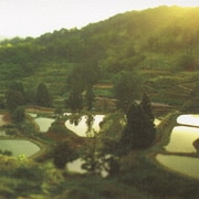 QLASSIX