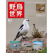 野鳥の世界 82号 9/27