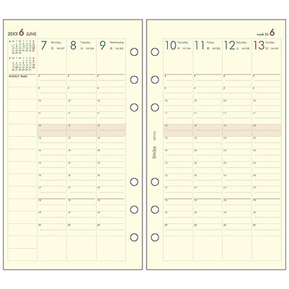 015 週間ダイアリーバーチカルタイプ [ムックその他]