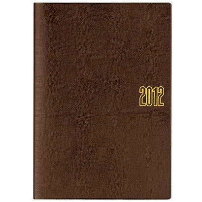 6221 能率ダイアリーA5日本鉄道地図付 こげ茶 [ムックその他]