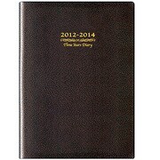 7330 ニューメモリー3年日誌 チョコ [ムックその他]