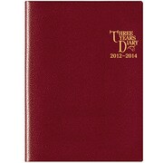 7331 ニューメモリー3年日誌 エンジ [ムックその他]
