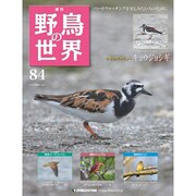 野鳥の世界 84号 10/11