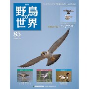 野鳥の世界 85号 10/18