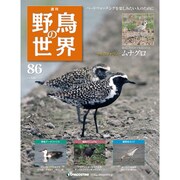 野鳥の世界 86号 10/25