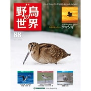 野鳥の世界 88号 11/8