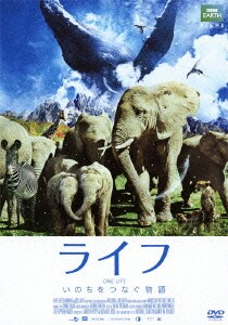 ライフ いのちをつなぐ物語 スタンダード・エディション [DVD]