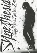 DAICHI MIURA LIVE TOUR 2011 "Synesthesia"