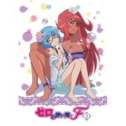 ゼロの使い魔F Vol.2